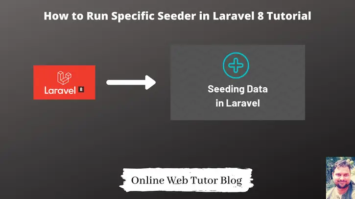How to Run Specific Seeder in Laravel 8 Tutorial