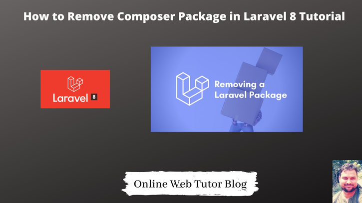 How-to-Remove-Composer-Package-in-Laravel-8-Tutorial