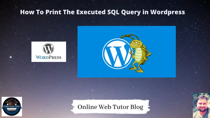 How-To-Print-The-Executed-SQL-Query-in-Wordpress