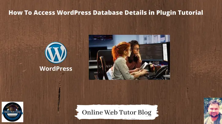 How-To-Access-WordPress-Database-Details-in-Plugin-Tutorial