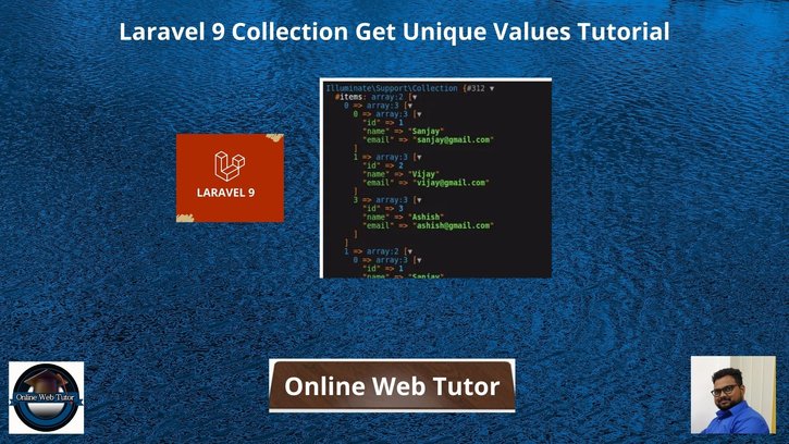 Laravel-9-Collection-Get-Unique-Values-Tutorial