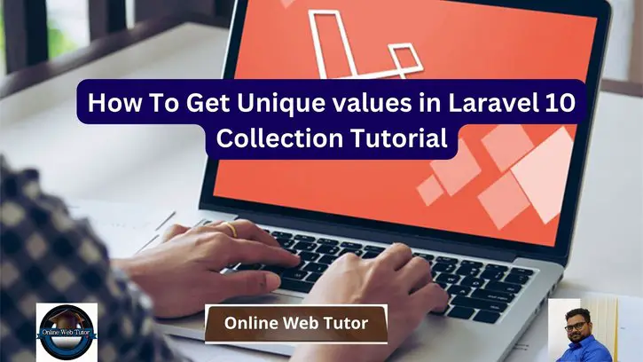 How To Get Unique values in Laravel 10 Collection Tutorial